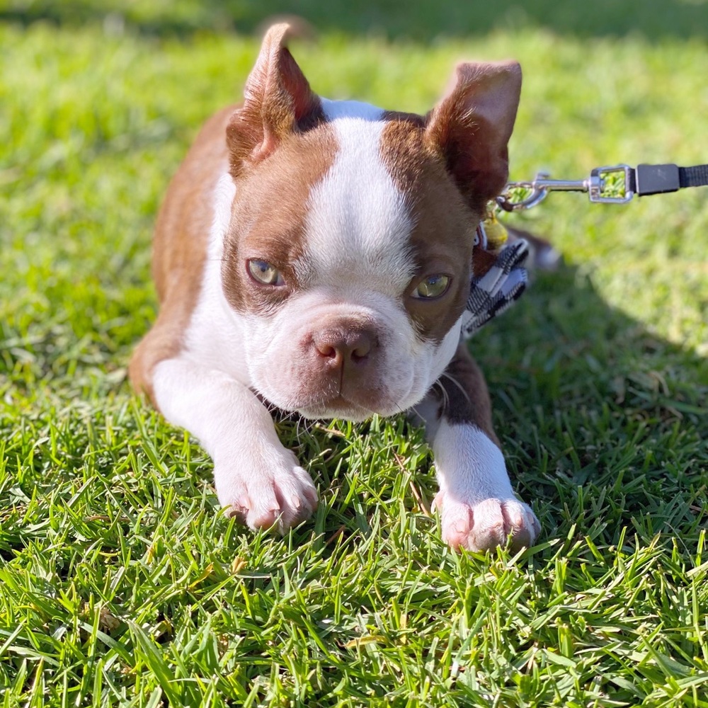 Meet your Posher, Gloria